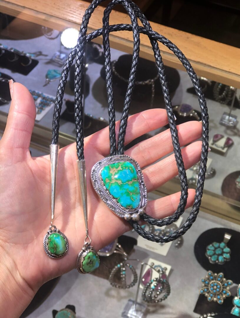 A person holding a turquoise stone necklace and earrings.