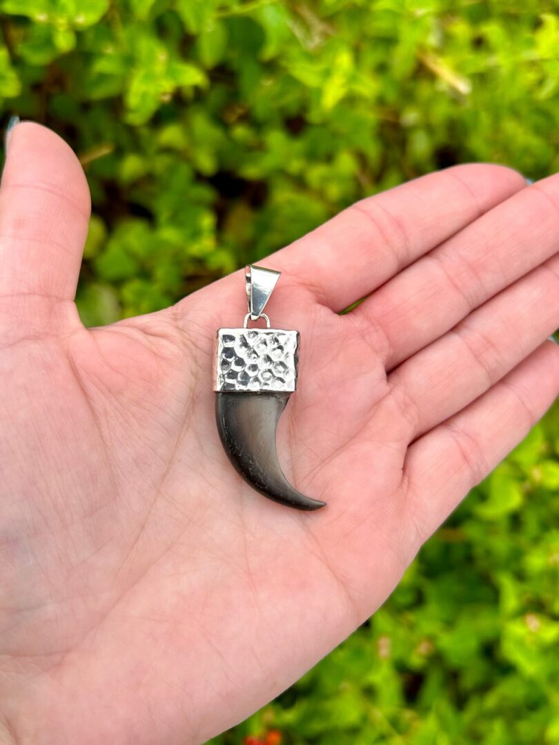 A hand holding a silver tiger tooth pendant.